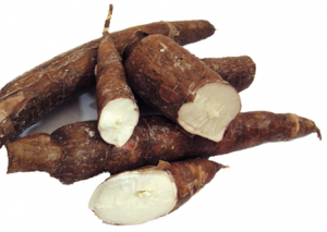 ingrediente yuca para champu seco aveda