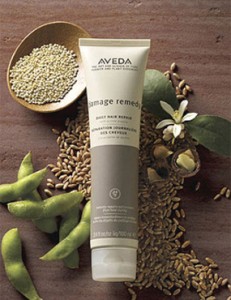 damage remedy daily repair