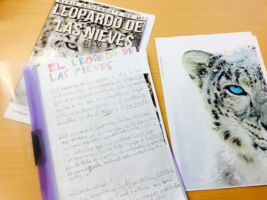 Trabajo de tercero primaria sobre leopardo de las nieves y aveda