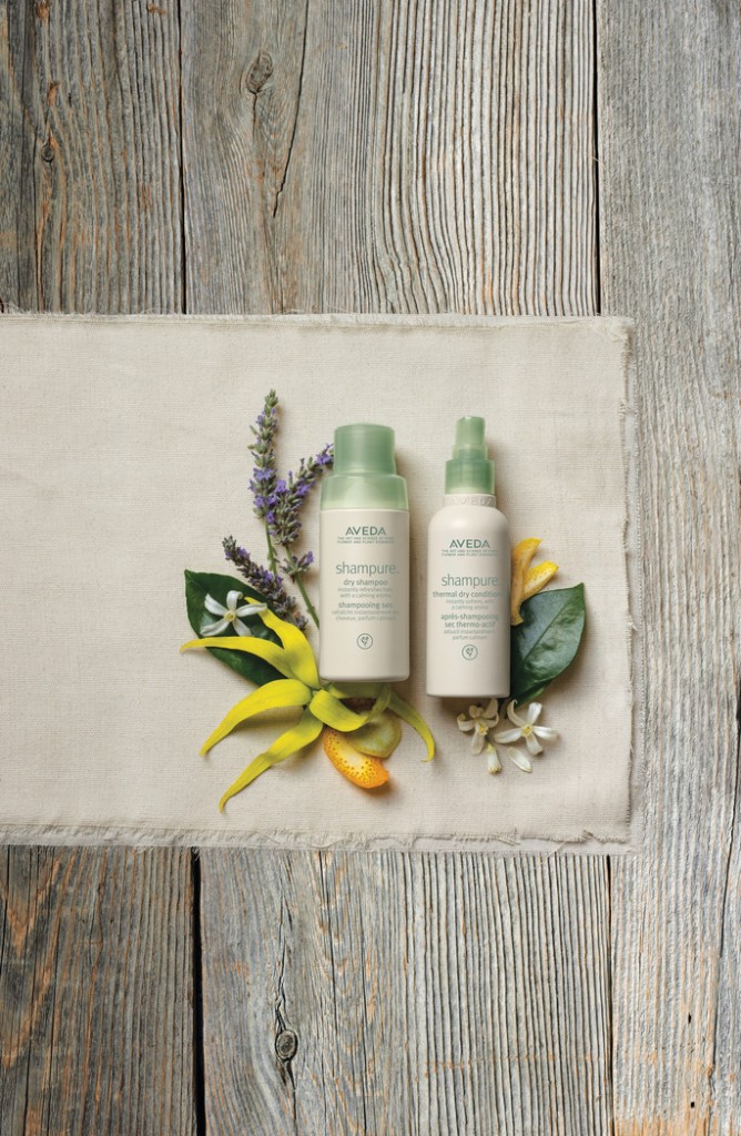 Sistema capilar en seco Shampure de Aveda