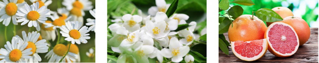 aroma crema tulasara